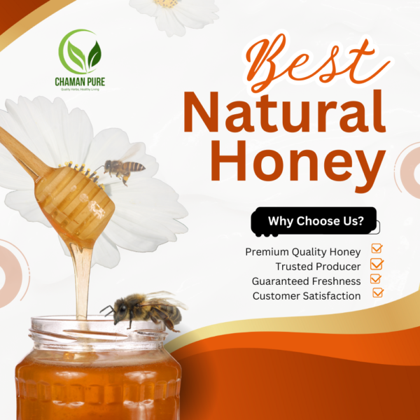 Fresh Pure Honey - Image 3