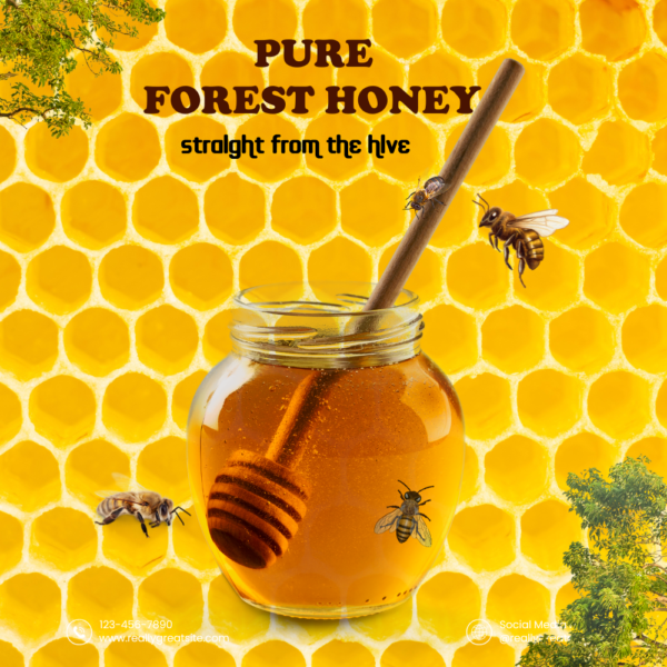 Fresh Pure Honey - Image 4